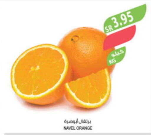 Orange available at Farm  in KSA, Saudi Arabia, Saudi - Jazan