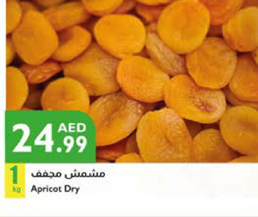 Apricot available at إسطنبول سوبرماركت in الإمارات العربية المتحدة , الامارات - رَأْس ٱلْخَيْمَة