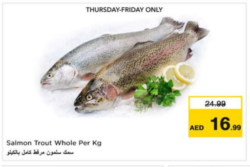 available at Nesto Hypermarket in UAE - Al Ain