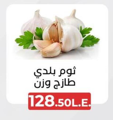 ثوم available at عرفة ماركت in Egypt - القاهرة