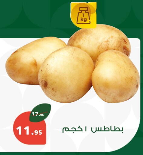 بطاطا available at بنده in Egypt - القاهرة