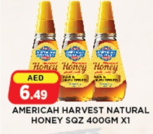 Honey available at Azhar Al Madina Hypermarket in UAE - Abu Dhabi