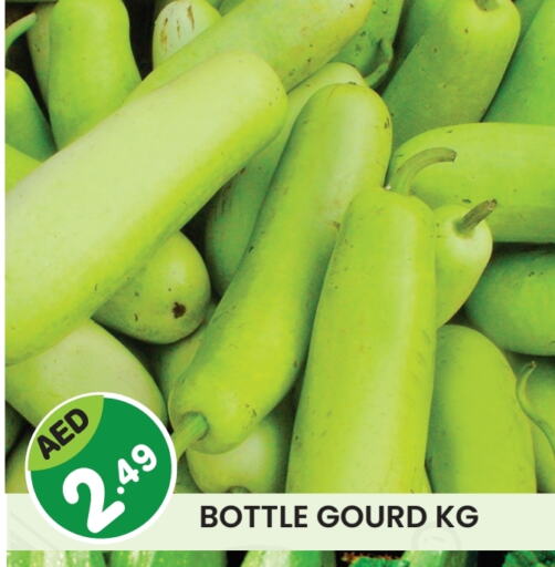 Gourd available at Baniyas Spike  in UAE - Sharjah / Ajman