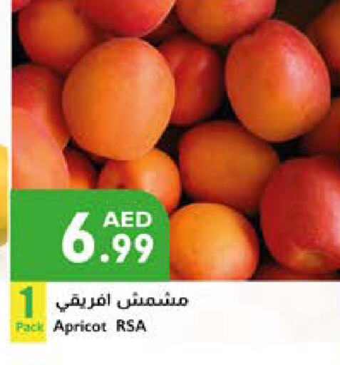 Apricot available at إسطنبول سوبرماركت in الإمارات العربية المتحدة , الامارات - رَأْس ٱلْخَيْمَة