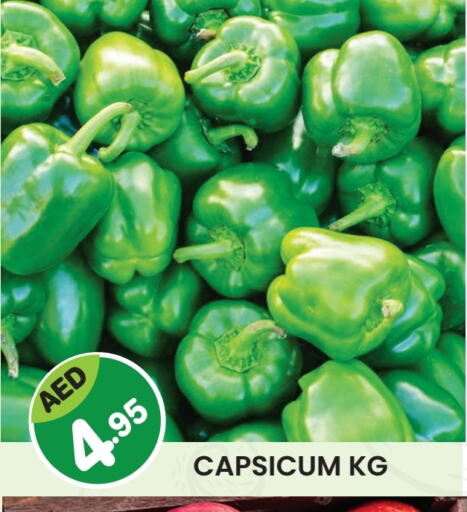 Chilli / Capsicum available at Baniyas Spike  in UAE - Abu Dhabi