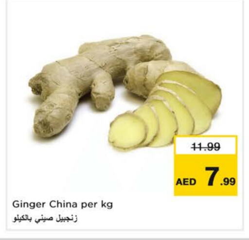 زنجبيل from China available at نستو هايبرماركت in الإمارات العربية المتحدة , الامارات - دبي