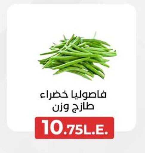 فاصوليا available at عرفة ماركت in Egypt - القاهرة