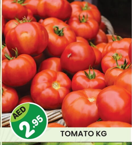 Tomato available at Baniyas Spike  in UAE - Abu Dhabi