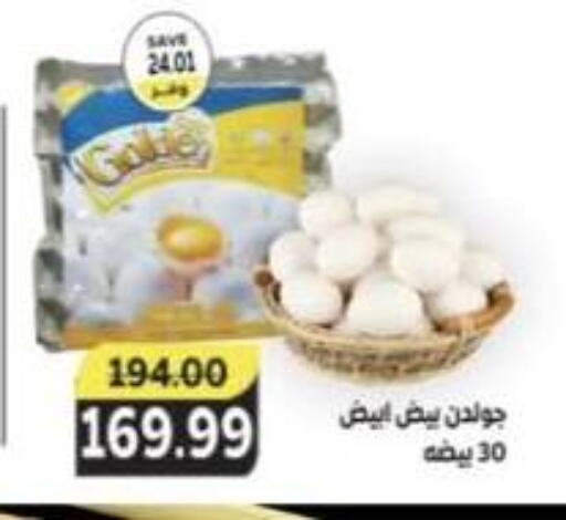 available at The Mart  in Egypt - Cairo