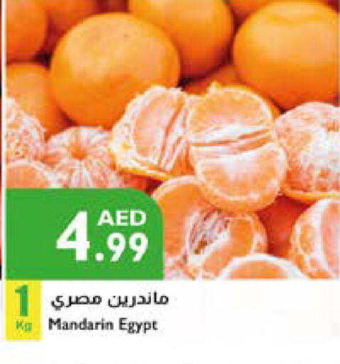 Orange from Egypt available at Istanbul Supermarket in UAE - Al Ain