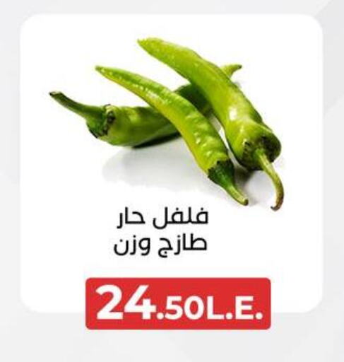 Chilli / Capsicum available at Arafa Market in Egypt - Cairo