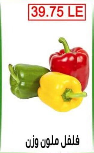 Chilli / Capsicum available at Ben Seleman in Egypt - Cairo