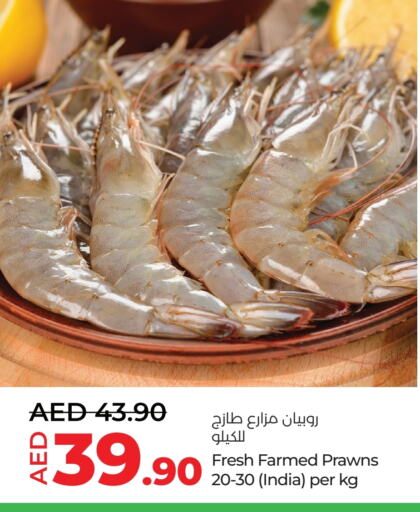 available at Lulu Hypermarket in UAE - Al Ain