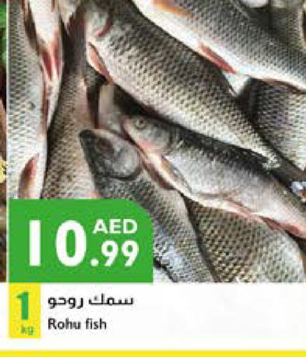 available at Istanbul Supermarket in UAE - Ras al Khaimah