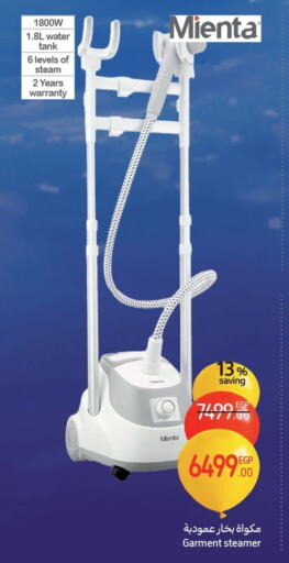 Garment Steamer available at Carrefour  in Egypt - Cairo