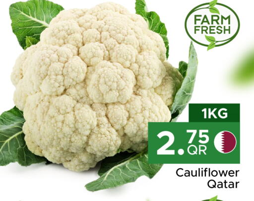 Cauliflower from Qatar available at Family Food Centre in Qatar - Umm Salal