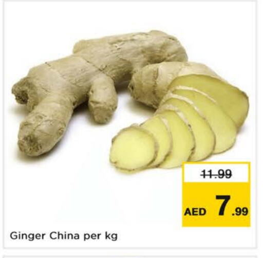 زنجبيل from China available at نستو هايبرماركت in الإمارات العربية المتحدة , الامارات - دبي