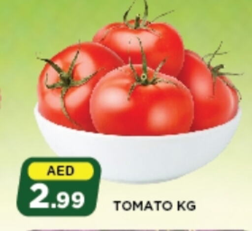 Tomato available at Azhar Al Madina Hypermarket in UAE - Abu Dhabi