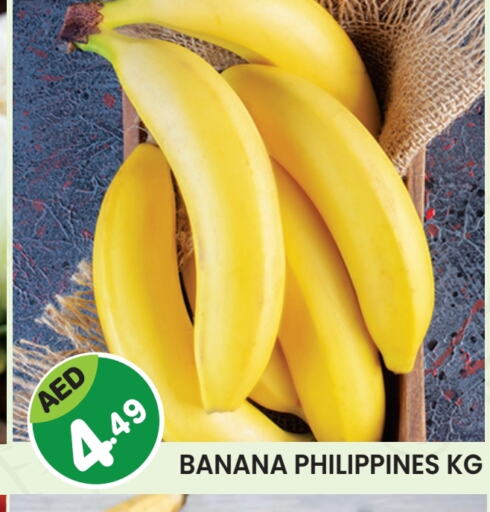 Banana from Philippines available at Baniyas Spike  in UAE - Ras al Khaimah