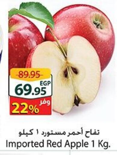 تفاح available at سبينس in Egypt - القاهرة