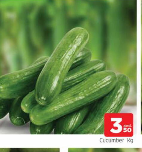 Cucumber available at AL MADINA in UAE - Sharjah / Ajman