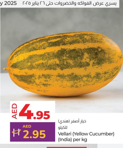 خيار from India available at لولو هايبرماركت in الإمارات العربية المتحدة , الامارات - ٱلْعَيْن‎