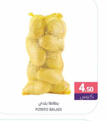 Potato available at Muntazah Markets in KSA, Saudi Arabia, Saudi - Qatif