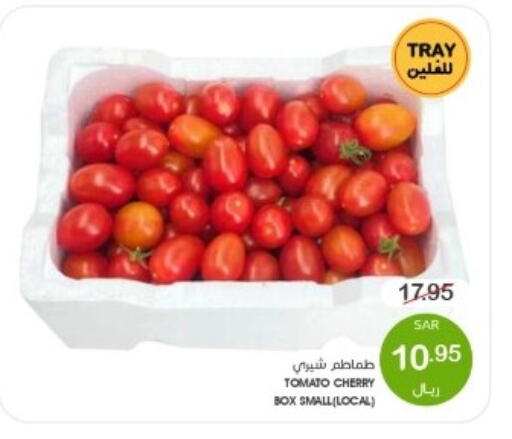 طماطم available at  مـزايــا in مملكة العربية السعودية, السعودية, سعودية - المنطقة الشرقية