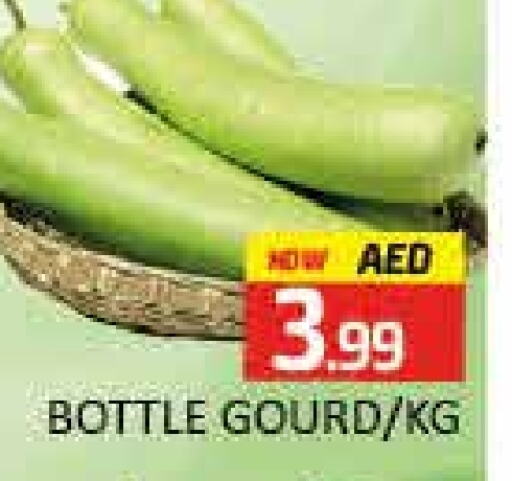 Gourd available at Mango Hypermarket LLC in UAE - Dubai