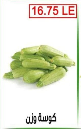 Zucchini available at Ben Seleman in Egypt - Cairo