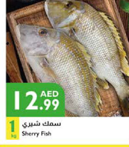 available at Istanbul Supermarket in UAE - Ras al Khaimah