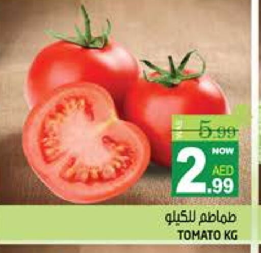 طماطم available at هاشم هايبرماركت in الإمارات العربية المتحدة , الامارات - الشارقة / عجمان