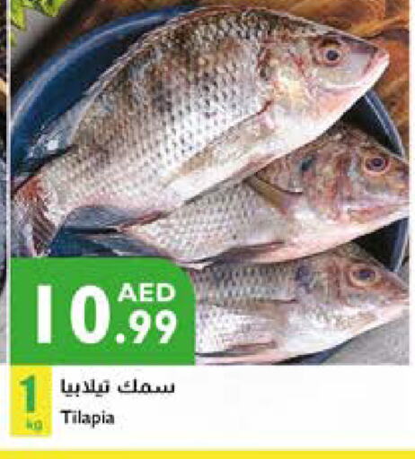 available at Istanbul Supermarket in UAE - Ras al Khaimah