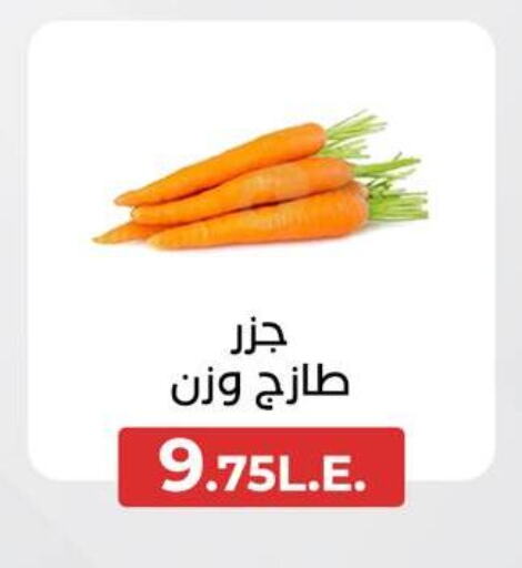 Carrot available at Arafa Market in Egypt - Cairo