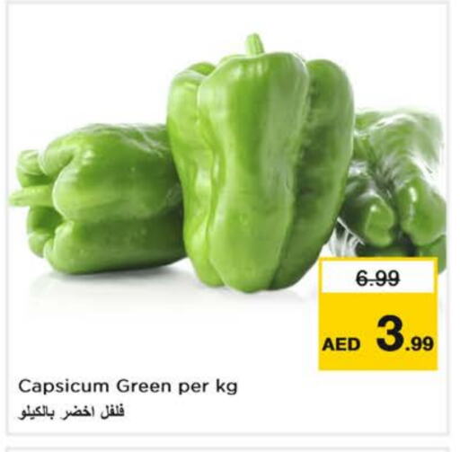 Chilli / Capsicum available at Nesto Hypermarket in UAE - Al Ain