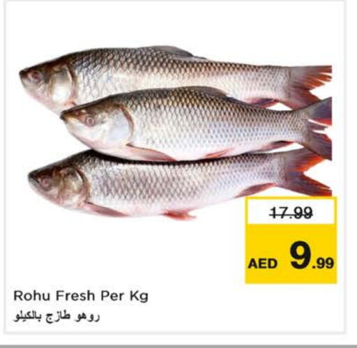 available at Nesto Hypermarket in UAE - Al Ain