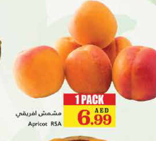 Apricot available at تروليز سوبرماركت in الإمارات العربية المتحدة , الامارات - الشارقة / عجمان