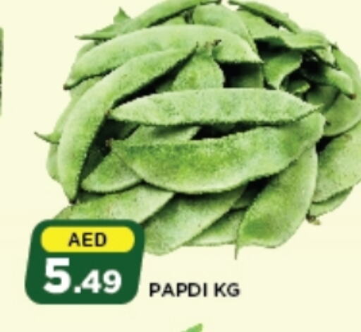 available at أزهر المدينة هايبرماركت in الإمارات العربية المتحدة , الامارات - أبو ظبي