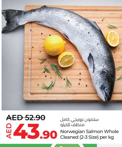 available at Lulu Hypermarket in UAE - Al Ain