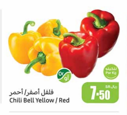 Chilli / Capsicum available at Othaim Markets in KSA, Saudi Arabia, Saudi - Jubail