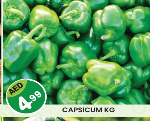 Chilli / Capsicum available at Baniyas Spike  in UAE - Al Ain