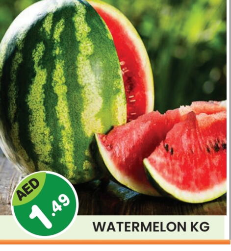 Watermelon available at Baniyas Spike  in UAE - Sharjah / Ajman