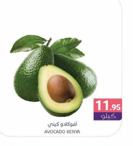 Avacado from Kenya available at Muntazah Markets in KSA, Saudi Arabia, Saudi - Dammam