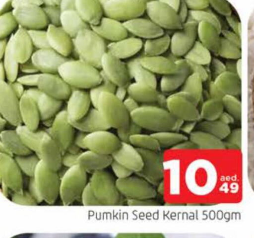 Pumkin available at المدينة in الإمارات العربية المتحدة , الامارات - الشارقة / عجمان