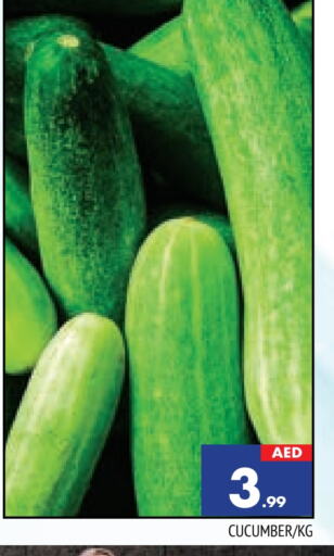 Cucumber available at AL MADINA in UAE - Sharjah / Ajman