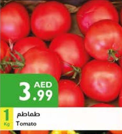 Tomato available at Istanbul Supermarket in UAE - Abu Dhabi