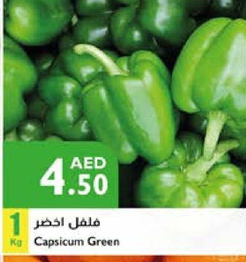 Chilli / Capsicum available at Istanbul Supermarket in UAE - Sharjah / Ajman