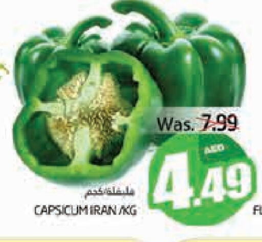 Chilli / Capsicum from Iran available at PASONS GROUP in UAE - Al Ain