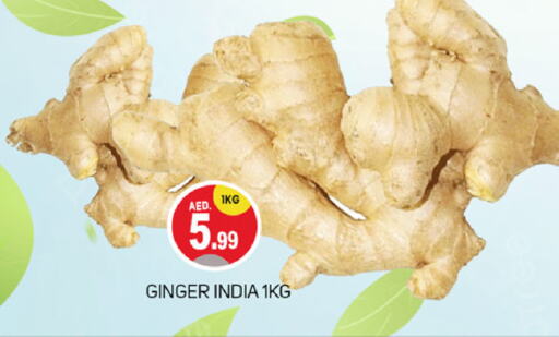 Ginger from India available at TALAL MARKET in UAE - Dubai