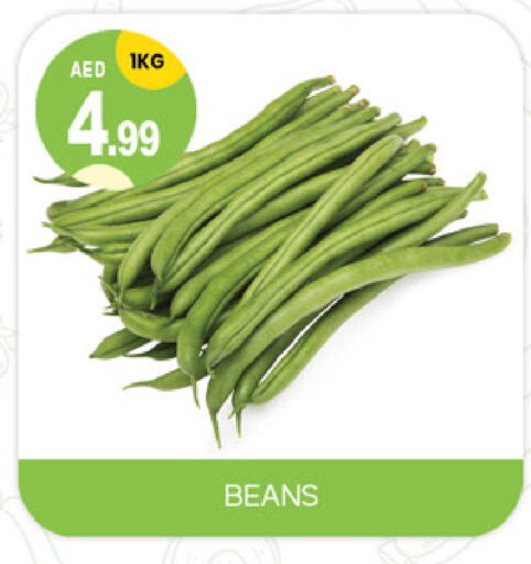 Beans available at TALAL MARKET in UAE - Dubai